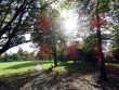FordbridgePark2